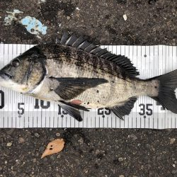 イチノ兄弟、釣果!