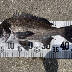 イチノ兄弟、釣果!