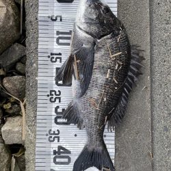 イチノ兄弟、釣果!