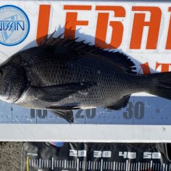 チヌフカセ釣り