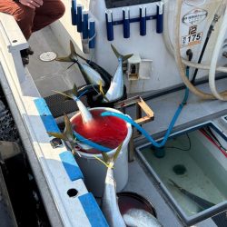 ジギングイベント参加