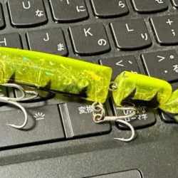 nanaoさんのおかげで2025年一発目のシーバスを頂きました！