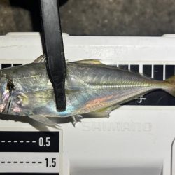 やっとこさ!2 笑笑