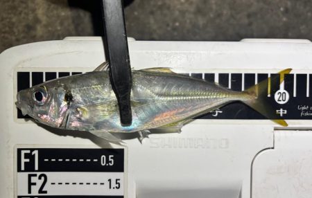 やっとこさ!2 笑笑