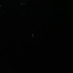 東二見メバル13