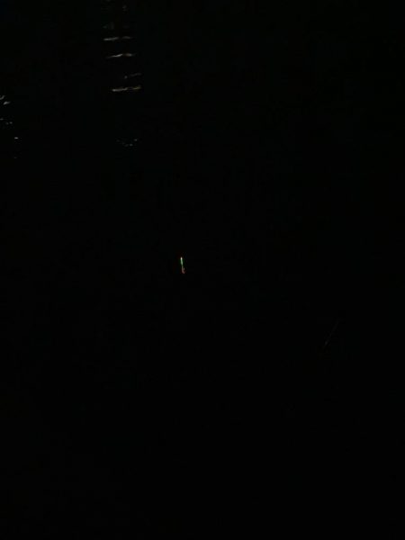 東二見メバル13