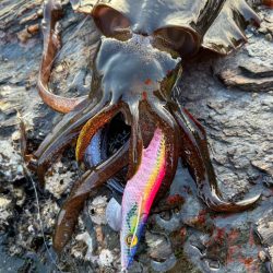 寒さを吹き飛ばすアタリ