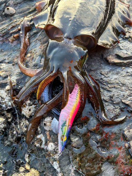 寒さを吹き飛ばすアタリ