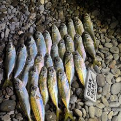 フロートアジング