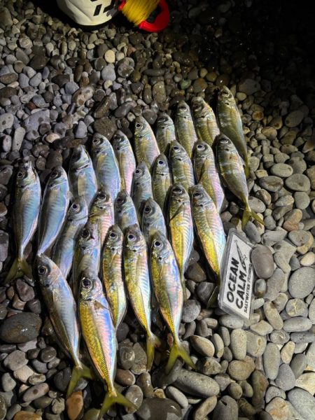 フロートアジング