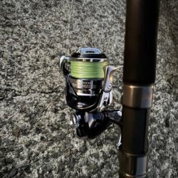 2025年初ゲット!