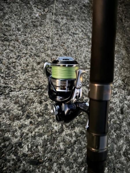 2025年初ゲット!