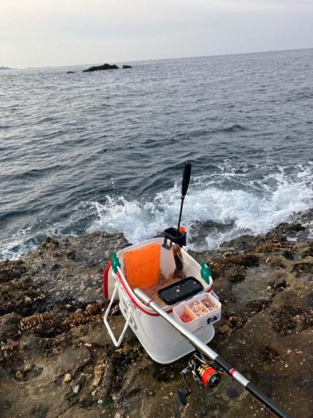 磯フカセ釣り
