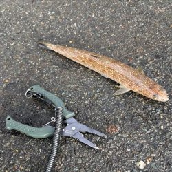 雨のち曇り時々晴れ