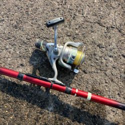 サビキでアジ釣り