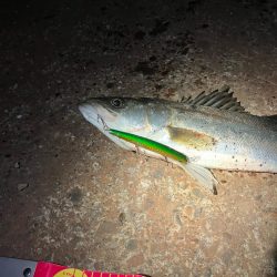 一時間だけのタイムアタック