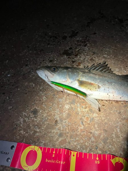 一時間だけのタイムアタック