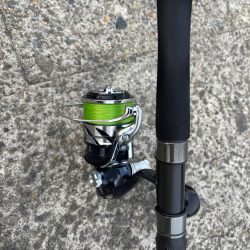 久しぶりのヒット