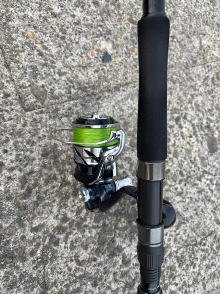 久しぶりのヒット