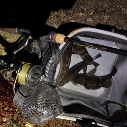 今年の初プラグ釣果