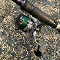 朝マズメのカマス釣りで20匹GET