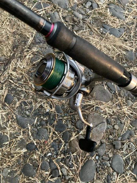 朝マズメのカマス釣りで20匹GET