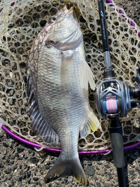 休日はチニング！