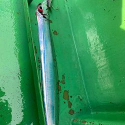 初釣りは船タチウオ