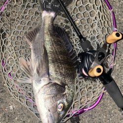 仕事帰り15分チニング！