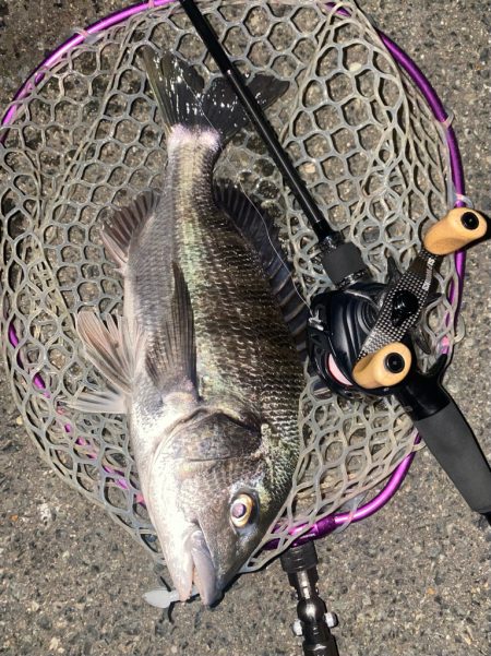 仕事帰り15分チニング！