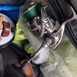 朝マズメのカマス釣りで23匹GET