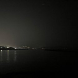 今年初のメバルちゃん