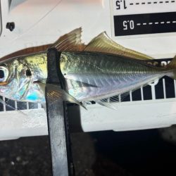 やっとこさ! 笑笑