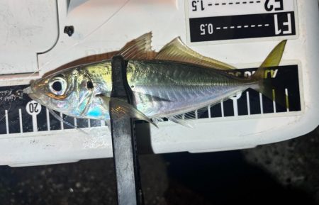 やっとこさ! 笑笑