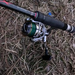 朝マズメのカマス釣りで15匹GET