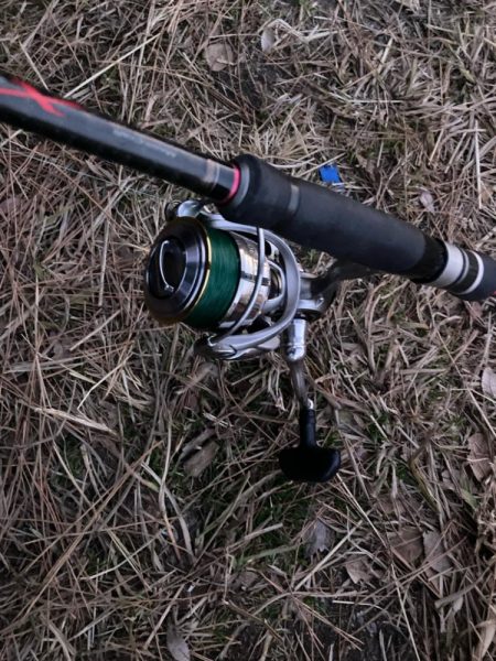 朝マズメのカマス釣りで15匹GET