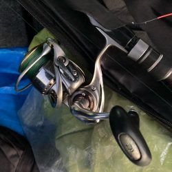 朝マズメのカマス釣りで3匹GET