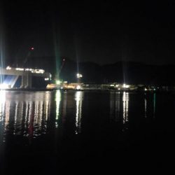 アジ探し@由良周辺