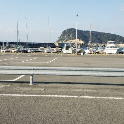 ガシラ探し@由良周辺