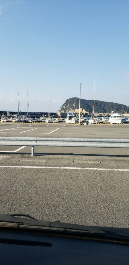 ガシラ探し@由良周辺