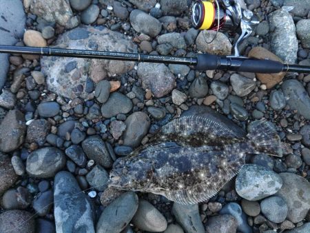 初釣り(尺)?フロートゲーム~