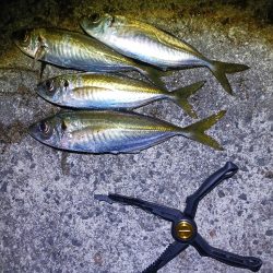 1発大物狙い成功？