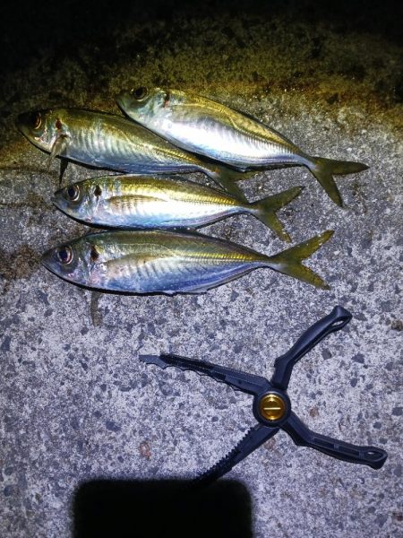 1発大物狙い成功？