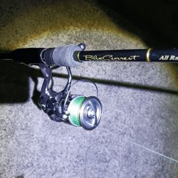 新リグでアジング　尺アジゲット