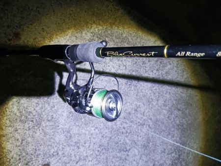 新リグでアジング　尺アジゲット