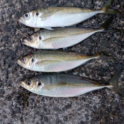 フロートアジング