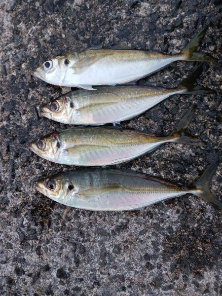 フロートアジング