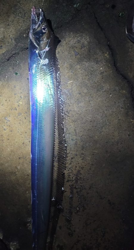 潮目的には微妙かなと思ってましたが