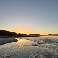 2025初フィッシュ!ヘダイが釣れました!