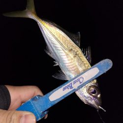 アジングガイド